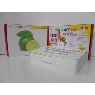 Thẻ học thông minh cho bé khổ a5 nhà phát hành Việt Hà M101734 kích thước 15x21cm tổng 100 thẻ 1 bộ
