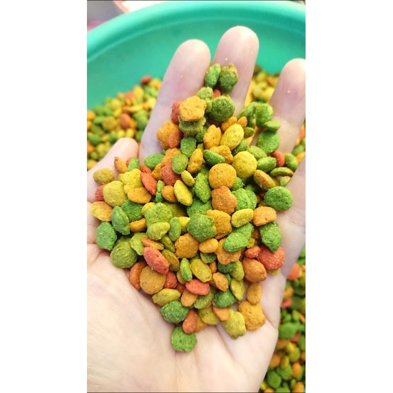 Hạt trái cây G14 dành cho vẹt gói lẻ 100g