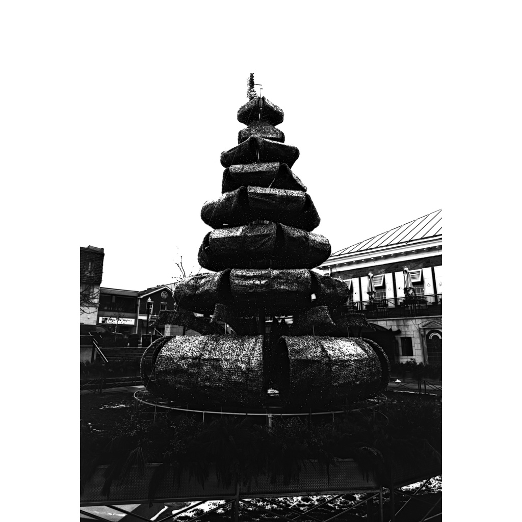 Phim FPP Sonic ISO 25, Đen Trắng B&W, 135/35mm x 24 Kiểu, In Date Cho Máy Chụp Ảnh Film - LIIQ Flash