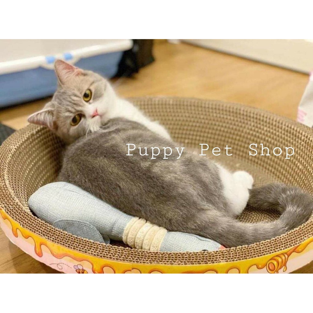 Cào móng giấy ổ tròn