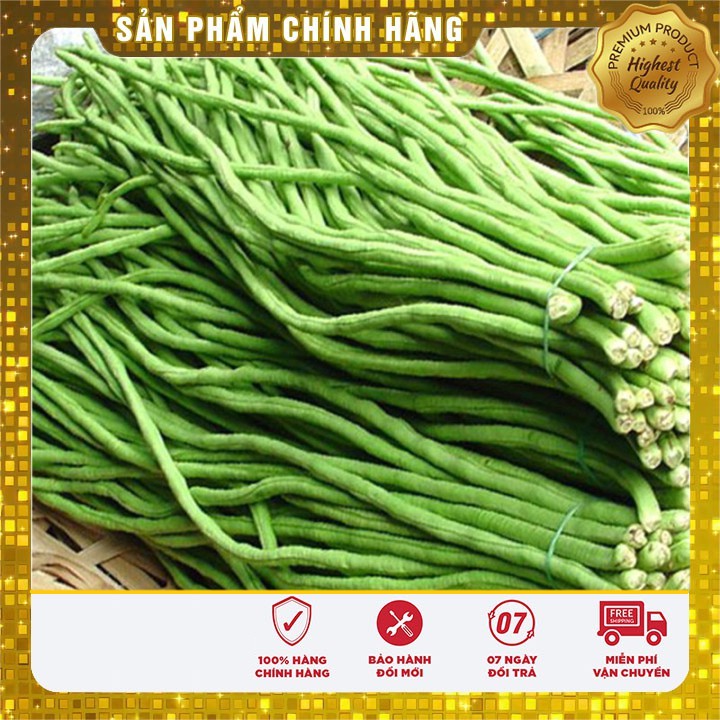 Hạt giống Đậu Đũa 20Gram [Bán Sỉ]