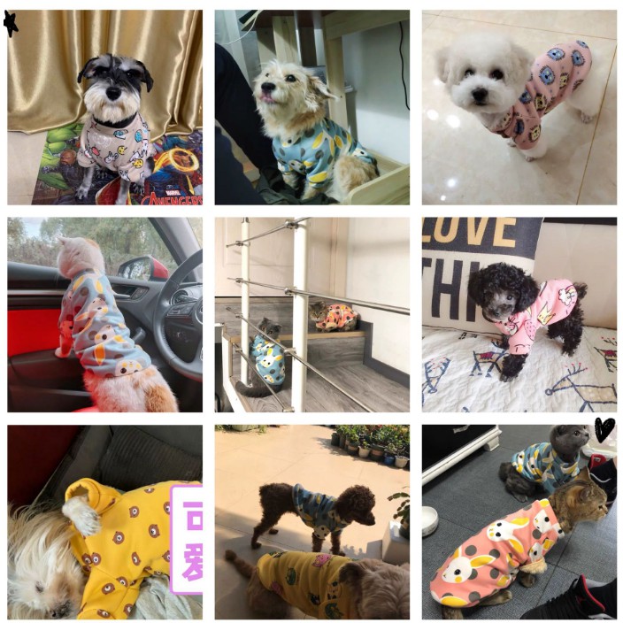 Hipidog Áo len HiPiDog họa tiết hoạt hình cho thú cưng