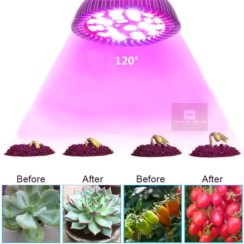 Đèn LED trồng cây - đèn quang hợp cho cây
