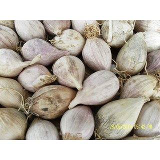 [FREESHIP 99K TOÀN QUỐC]Tỏi cô đơn 1kg