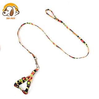 Dây Dắt Chó Mèo Đi Dạo