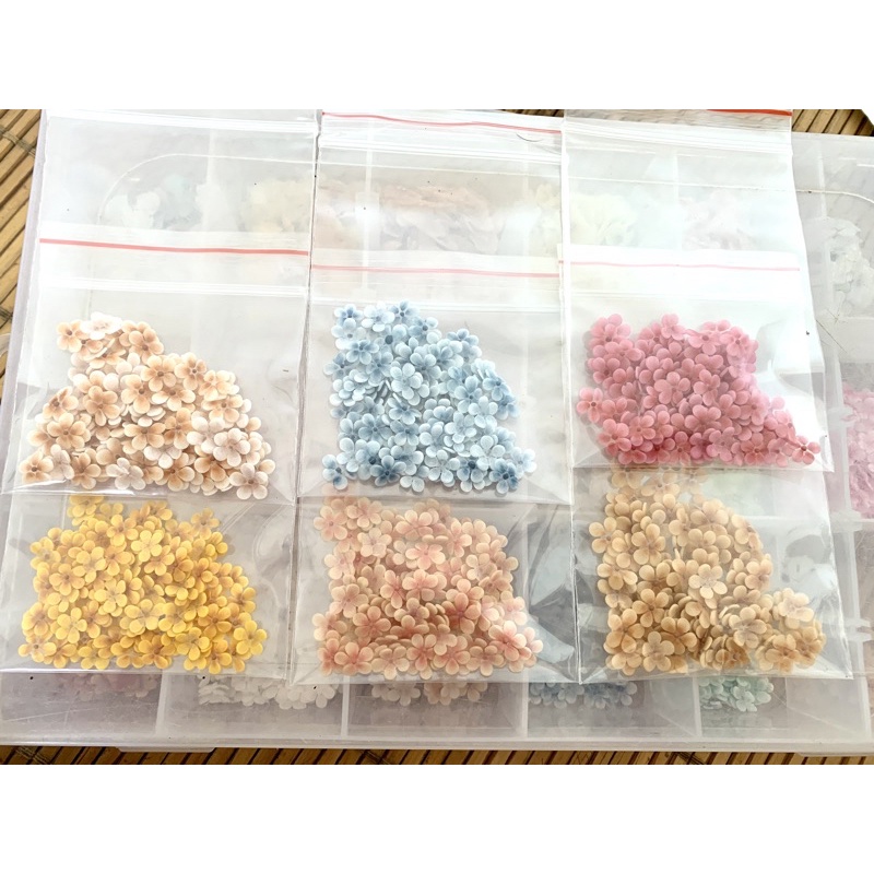 Hoa bột nail - hoa mai đơn