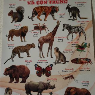 Tranh treo tường cho bé