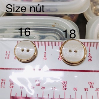 Nút Poly 2 lỗ 4 size nút kiểu