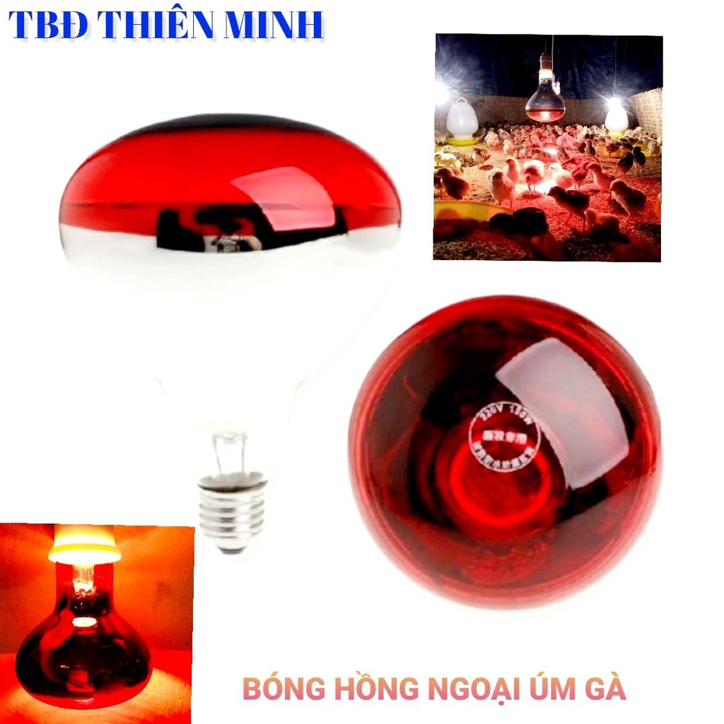 BÓNG ĐÈN HỒNG NGOẠI ÚM GÀ VÀ GIA SÚC 45W-250W