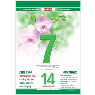 LỊCH TẾT 2022 - BLOC SIÊU ĐẠI TĐ10 (20 x 30cm)