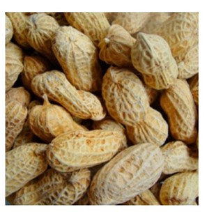 0.5KG ĐẬU PHỘNG NGUYÊN VỎ KHÔ GIÒN RỤM HÀNG QUÊ NGHỆ AN BAO NGON