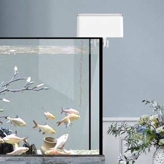 Máy cho cá ăn hẹn giờ tự động