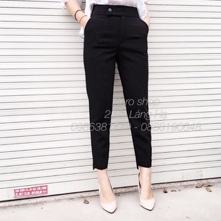 Quần tây gấu lệch