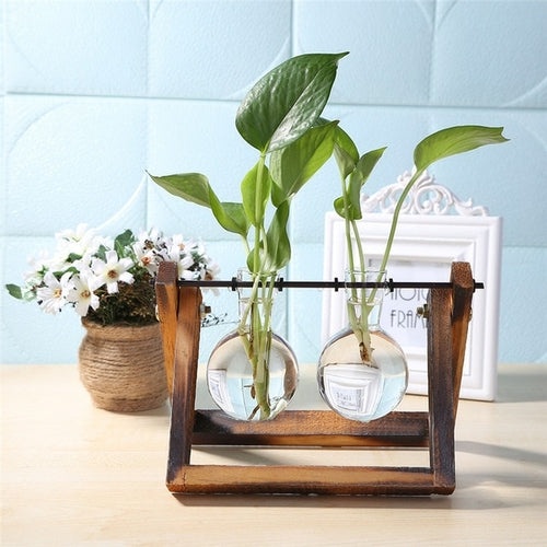 Trang trí bàn làm việc, bàn học với bình hoa thủy tinh kèm đế gỗ trồng cây thủy sinh, cắm hoa, kiểu dáng độc đáo