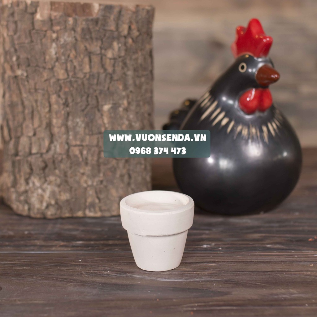 Chậu đất nung mini trắng 5x5cm - Trồng sen đá vỉ