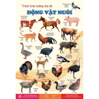 Bộ tranh treo tường cácchủ đề cho bé từ 6 tháng tuổi