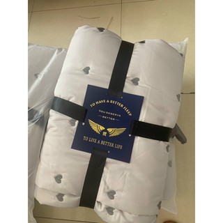 Chăn Hè Lụa Cao Cấp Mềm Mượt Thoáng Mát (Shinbedding)