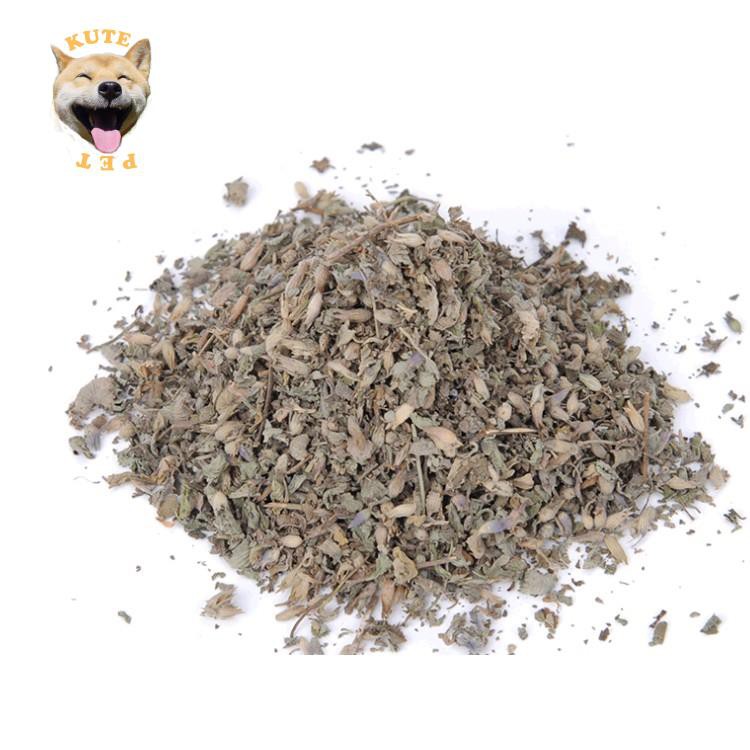 Cỏ bạc hà catnip cho mèo