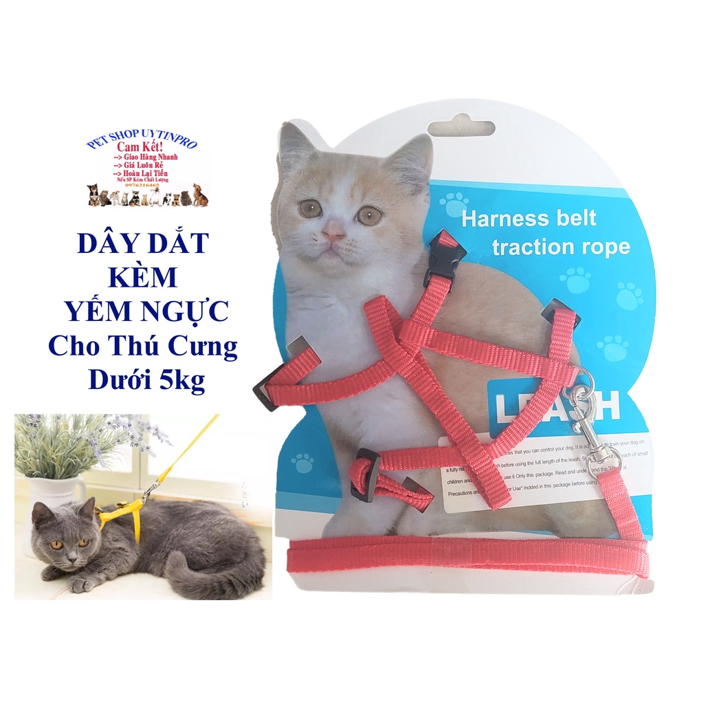 Dây dắt kèm yếm ngực cho Chó Mèo Pet Thú Cưng dưới 5kg Bản rộng 1cm Không in hình Chất liệu dù bền chắc, Dễ chịu khi đeo