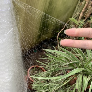 Lưới đánh bắt cá 3 màng 5cm cao 2,4m dài 140m