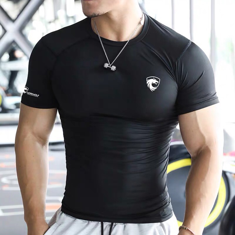 Áo Ngắn Tay Tập Gym Nam Gold Shark Vải Thun Lạnh, Áo Tập Gym, Thể Thao, Đi chơi