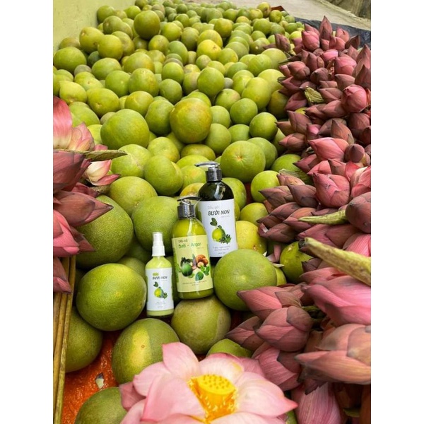 Combo dầu gội bưởi non - dầu xả bưởi argan