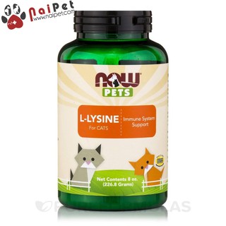 Bột Bổ Sung Hỗ Trợ Hệ Miễn Dịch Cho Mèo Của Mỹ Now Pets L-Lysine Lọ 226.8g