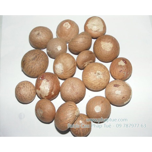 NƯỚC SÚC MIỆNG HẠT CAU NGÂM PHÁP TUỆ - CHẮC RĂNG, SẠCH MIỆNG