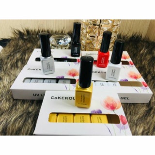 Sét Cọ Nét Sơn Cokekou