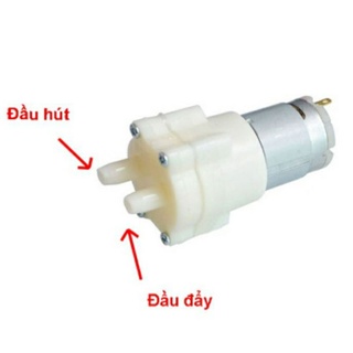 Máy bơm nước  5 - 12v mini