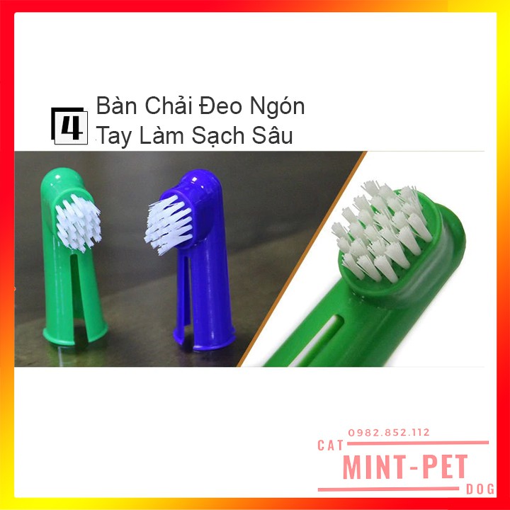 Bộ Kem Đánh Răng Kèm Bàn Chải Cho Chó và Thú Cưng Tuýp 100g #MintPet