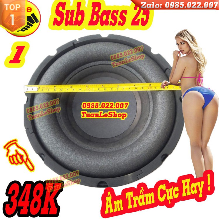 LOA SIÊU TRẦM 25 GIÁ RẺ - LOA SUB BASS 25 BÌNH DÂN MS1020