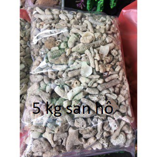 5 Kg san hô lọc nước bể cá cảnh và bể hải sản