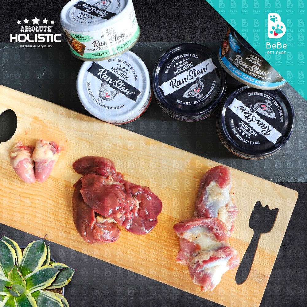 Pate ABSOLUTE HOLISTIC RAW STEW 70Gr Dùng Chung Cho Chó Mèo