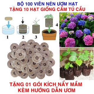 100 viên nén ươm hạt (tặng 10 Hạt giống Cẩm tú cầu + Kích thích nẩy mầm, Hướng dẫn)