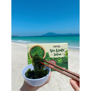 🎯RONG NHO TƯƠI NAMISO LÊ DƯƠNG BẢO LÂM - HƯƠNG VỊ CỦA BIỂN CẢ - 1 GÓI DÙNG THỬ ( HÀNG CHÍNH HÃNG)