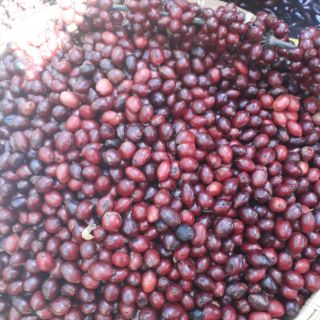 500g cà phê nguyên chất