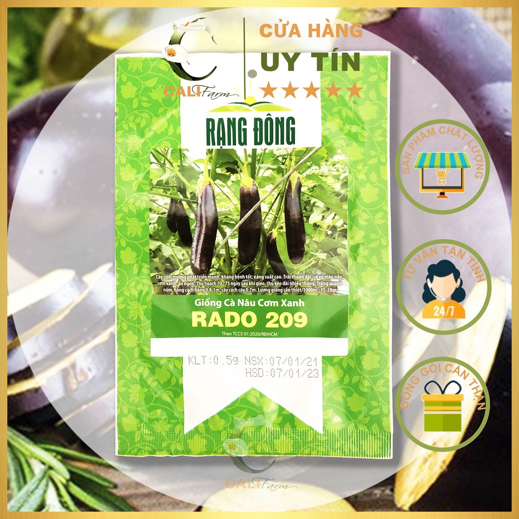 Hạt giống Cà Nâu Cơm Xanh Rado 209 Trái dài, Cơm Ngon