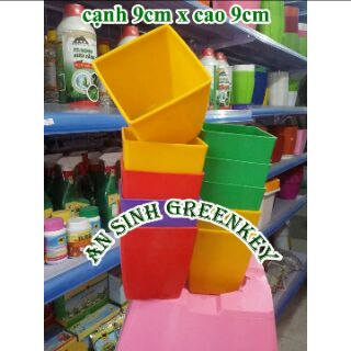 Chậu vuông rộng 8.5cm cao 9cm