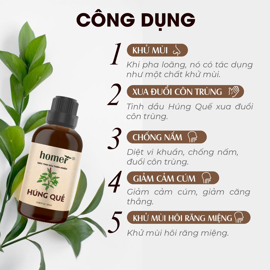 Tinh dầu Húng Quế Pháp Homer 500ML/ 1L - Basil Essential Oil - đạt chuẩn chất lượng kiểm định