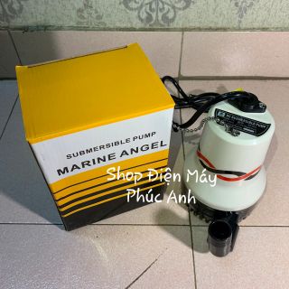 Máy bơm chìm 12V