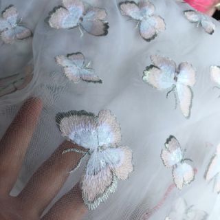 Voan kính thêu + lưới thêu.