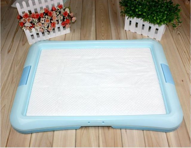 Tấm Lót Vệ Sinh Cho Thú Cưng