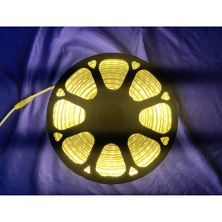 [X-LED] Dây led trang trí 2835_2 hàng - Bán theo mét