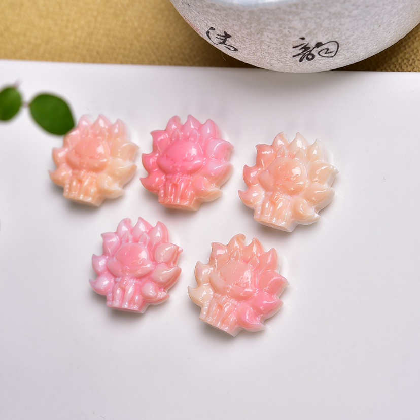 Vòng Đeo Tay Vỏ Sò Tự Nhiên DIY Xinh Xắn