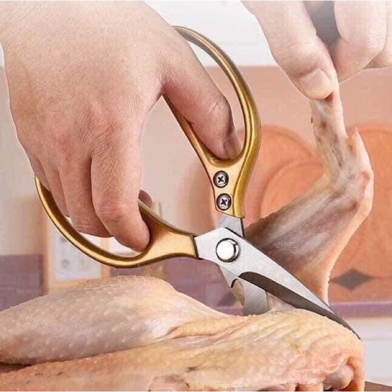 combo Kéo cắt gà siêu xin (Made in Japan)