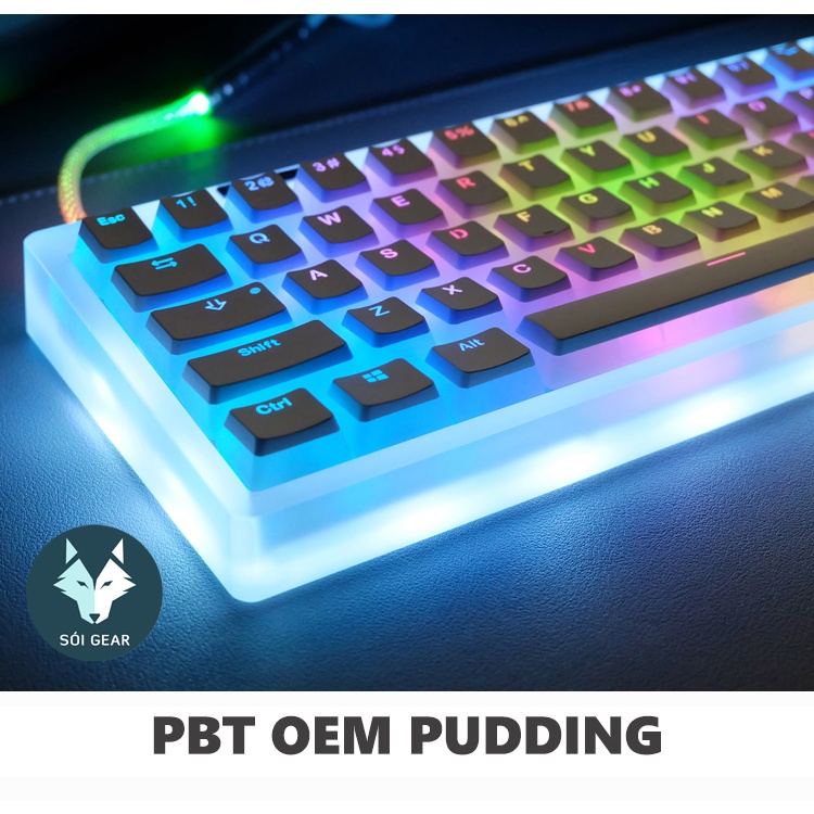 Bộ keycap bàn phím cơ PBT OEM PUDDING Màu trắng - Xuyên led hiệu quả - Layout 61/64/68/84/87/TKL/98/108