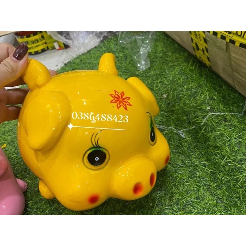 Heo tiết kiệm thiên thần cánh đứng, cánh cụp