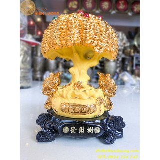 Cây kim tiền bằng đá