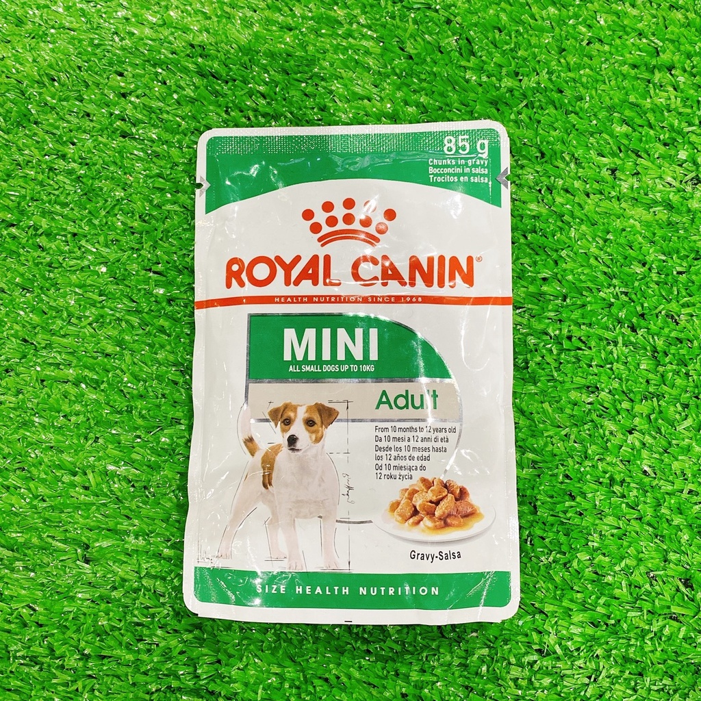 Pate dành cho chó trưởng thành Royal Canin Adult